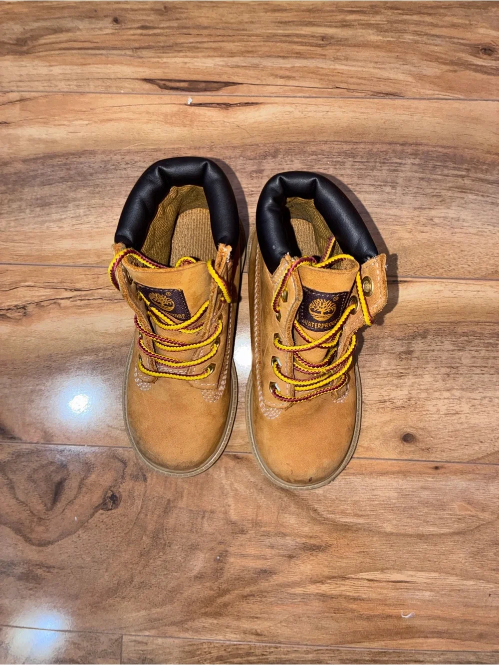 Timberland Toddler Classic 6-Inch Waterproof Boot - size 9